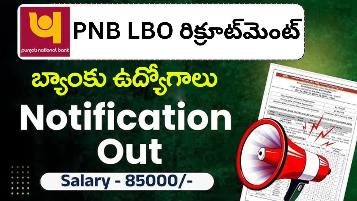 PNB LBO రిక్రూట్మెంట్ 545 లోకల్ బ్యాంక్ ఆఫీసర్ ఉద్యోగాలు | ఇప్పుడే ఆన్లైన్లో దరఖాస్తు చేసుకోండి..!